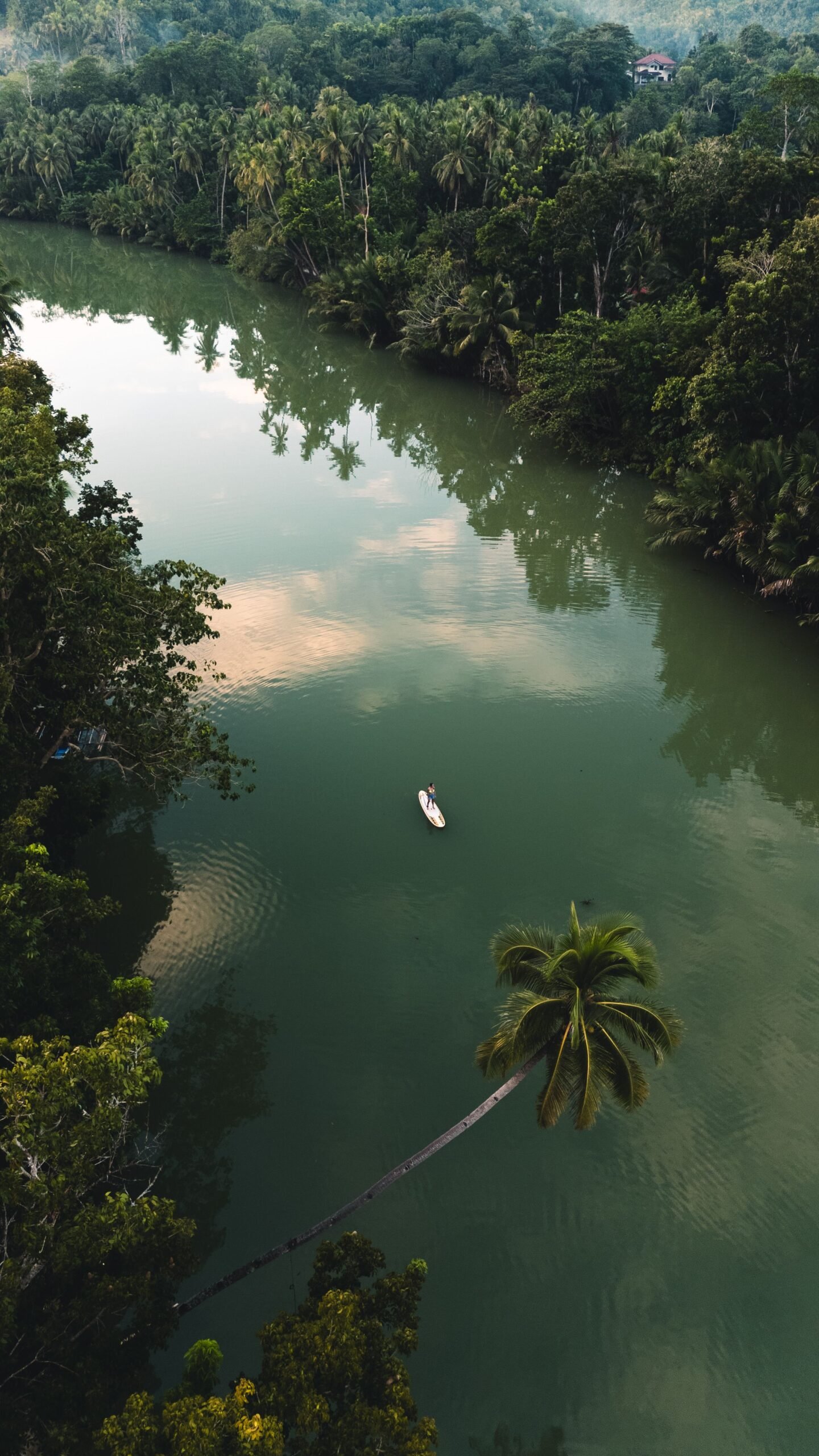 Maasin River Siargao 2026: Coconut Road, Boat Ride & Travel Guide