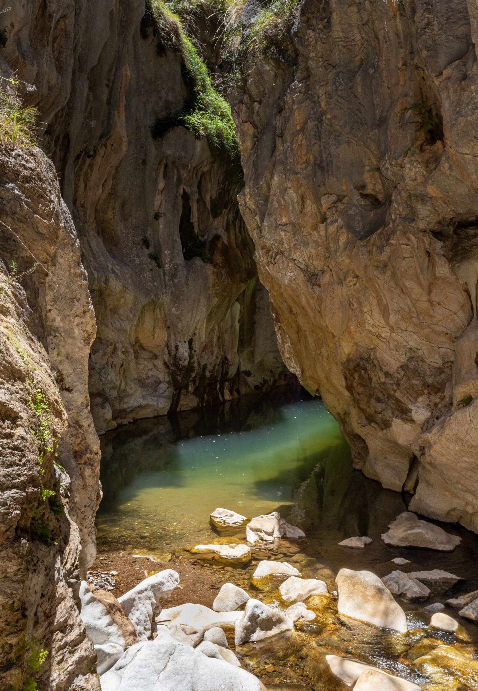 Tayangban Cave Pool Siargao 2026: Entrance Fee, Cave Swim & Guide