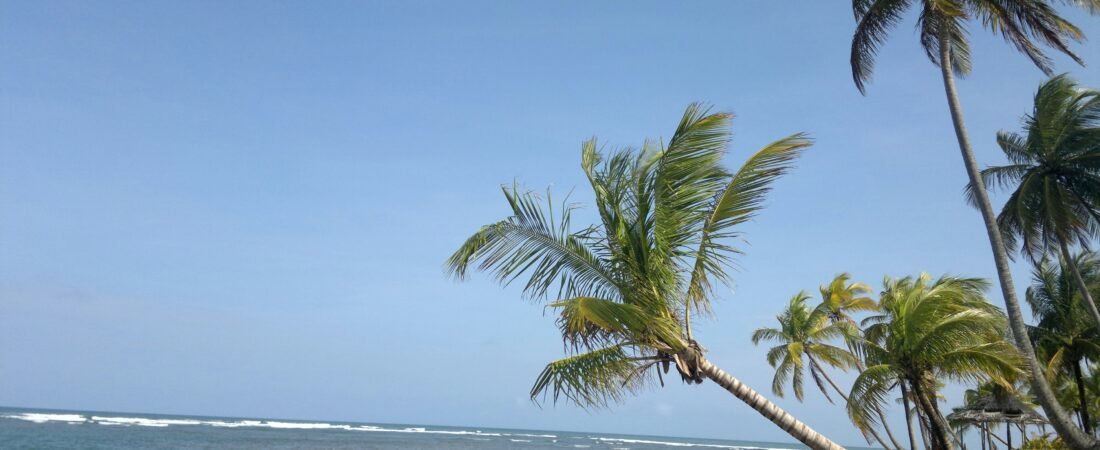 Pacifico Siargao 2026: Surfing, Beaches & Travel Guide